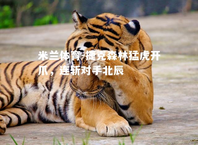 捷克森林猛虎开爪，连斩对手北辰