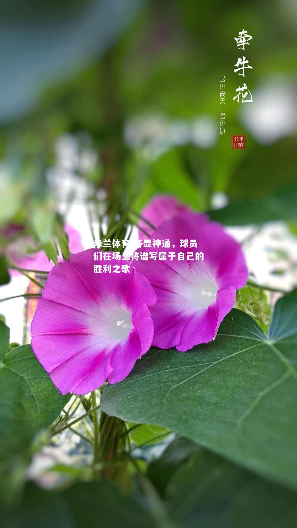 各显神通，球员们在场上将谱写属于自己的胜利之歌